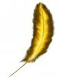 Feather (bird's)