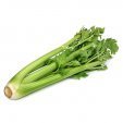 Celery