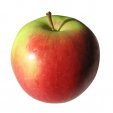 An Apple
