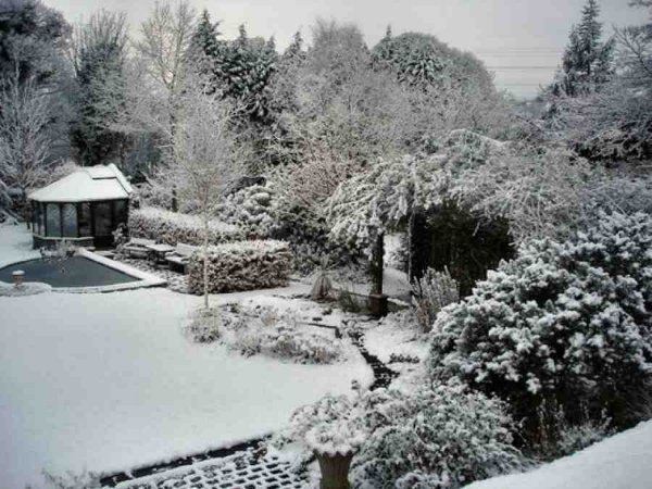 Garden work in February