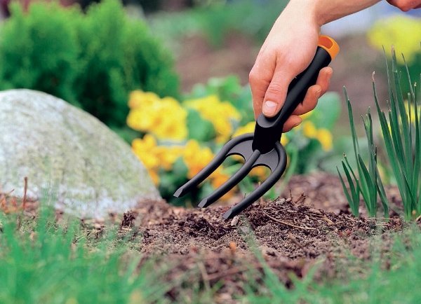 Garden work in June