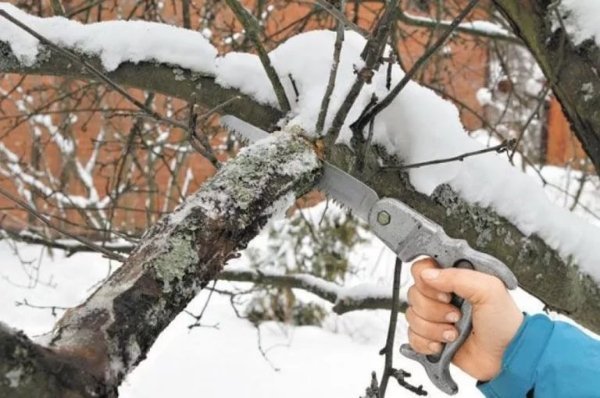 Garden work in March