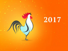 Horoscope for the 2017 Cock
