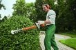 Pruning trees and shrubs