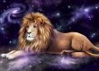 Sign of the Zodiac Leo - characteristic